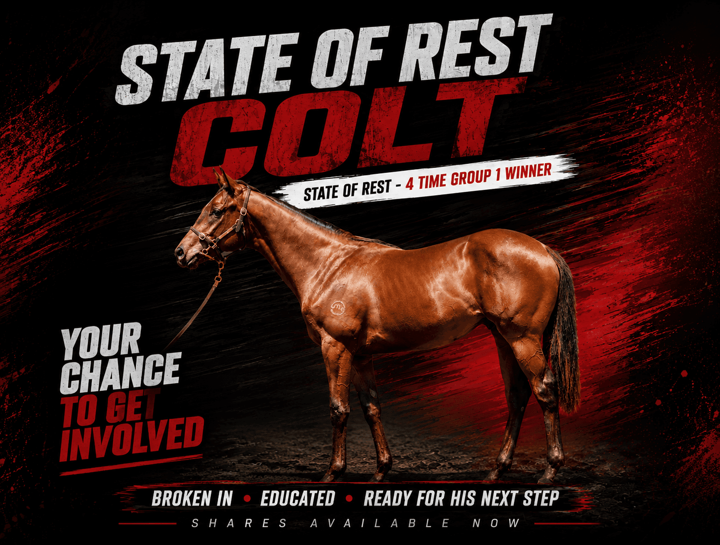 State of Rest Colt