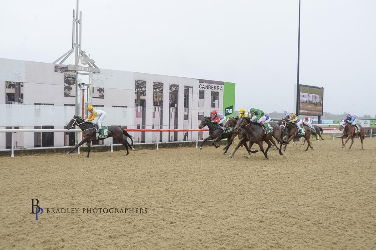 Stable Shines as Racing Returns to Acton Synthetic