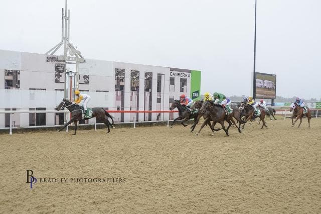 Stable Shines as Racing Returns to Acton Synthetic