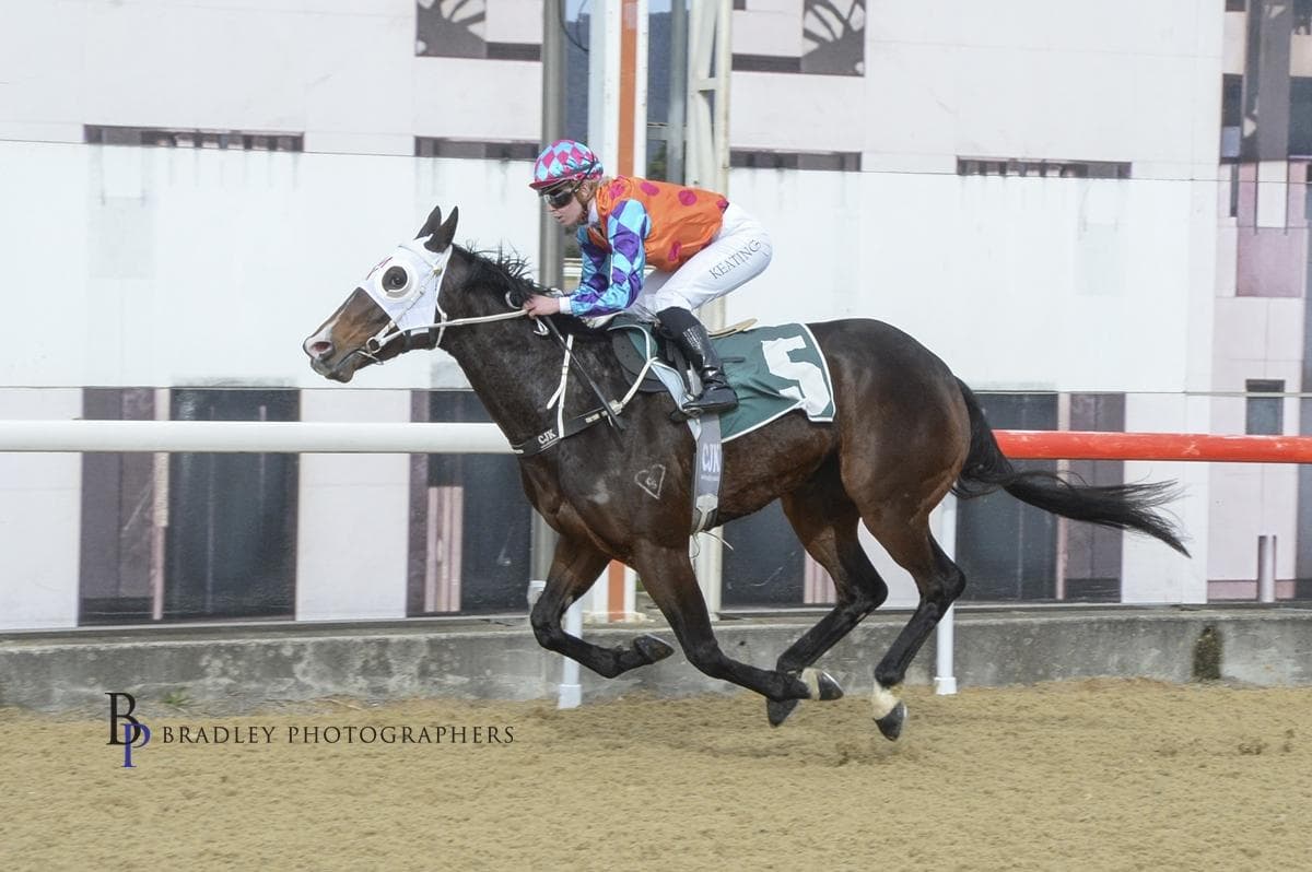 Brutal Eyes Breaks Through with Dominant Win at Canberra