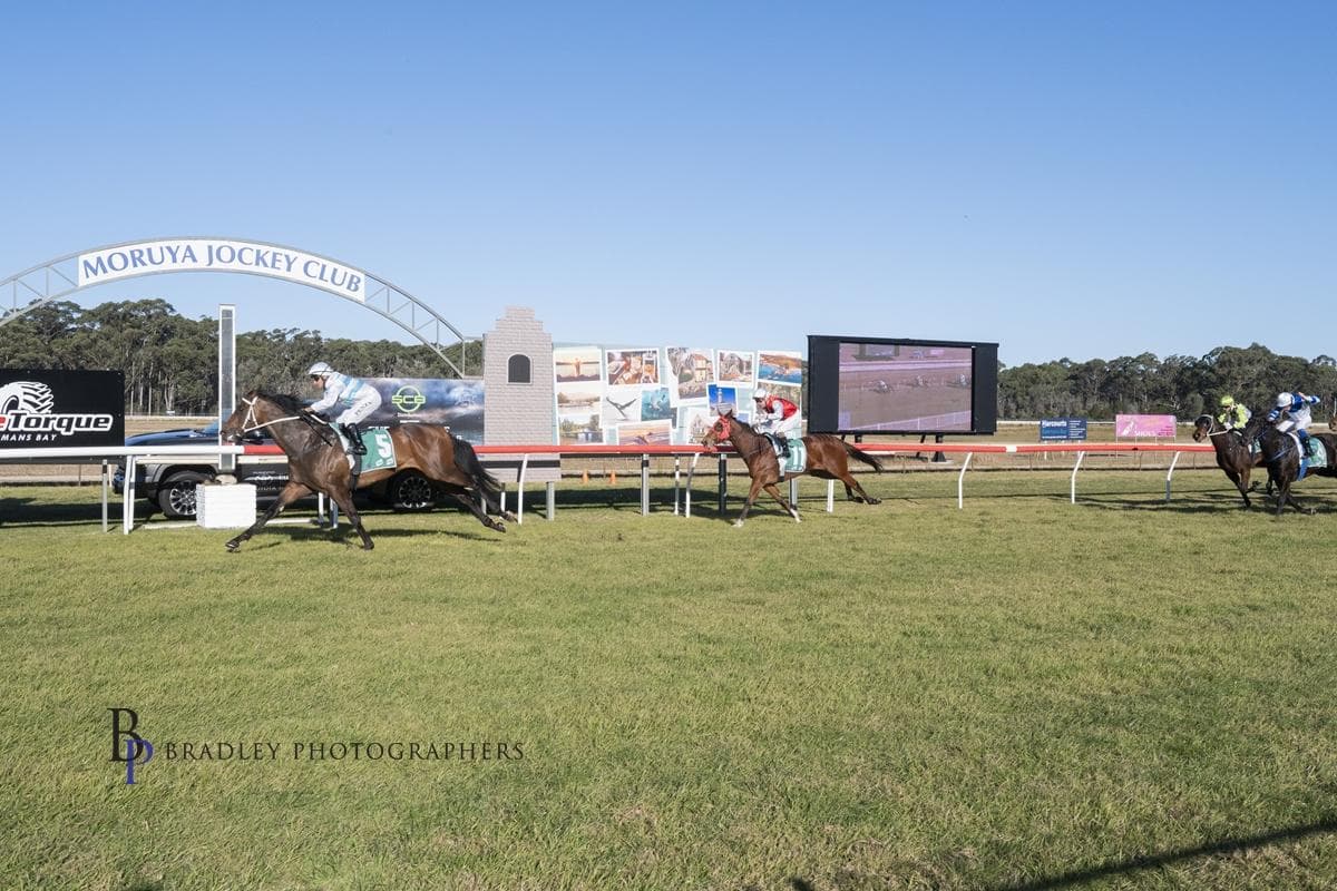 Walk The Pier walks it in at Moruya 🐎